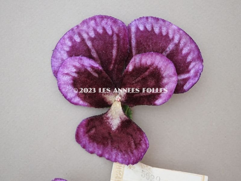 画像2: 1900年頃 未使用　アンティーク パンジーの布花 ラベル付 紫＆ボルドー