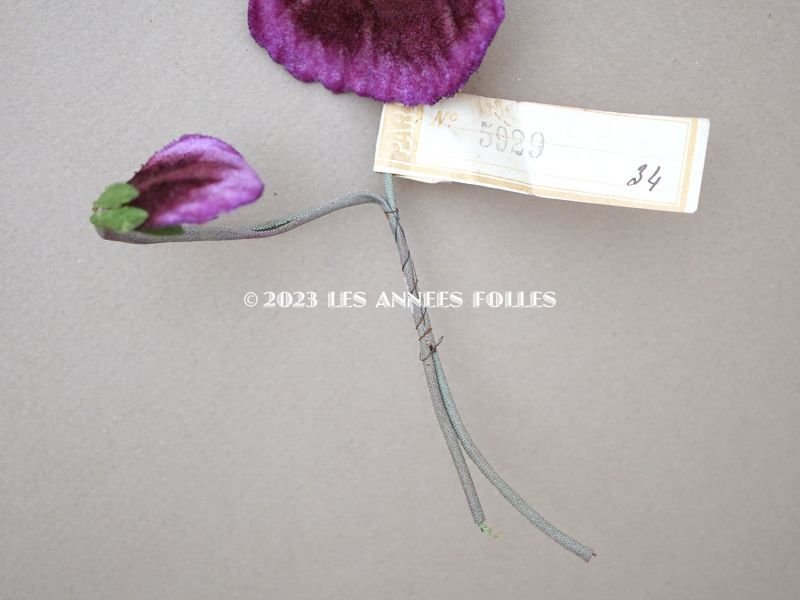 画像3: 1900年頃 未使用　アンティーク パンジーの布花 ラベル付 紫＆ボルドー
