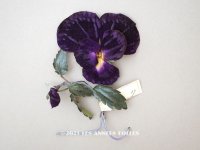 1900年頃 未使用　アンティーク パンジーの布花 ラベル付 深紫