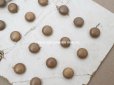 画像3: アンティーク  極小　ボタン　7mm　21ピースのセット　コロゾ製 ベジタブルアイボリー (3)