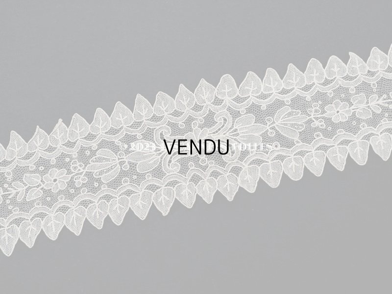 画像8: 19世紀 アンティーク ポワンドガーズのバルブ・ド・ボネ【ポワン・ド・ガーズ】