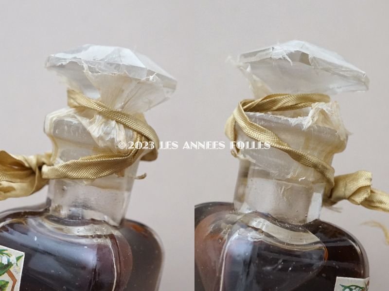 画像5: 1900年頃 アンティーク 未開封 パフュームボトル 鈴蘭&薔薇&菫&ミモザ TRIPLE EXTRAIT LE ROI JEAN - BRUNO COURT GRASSE -
