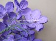画像5: ＊蚤の市＊アンティーク ベルベットの菫の布花　 (5)