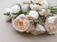 画像7: アンティーク 薔薇のブーケ パウダーピンク＆ホワイト　クウォーターロゼット咲き (7)