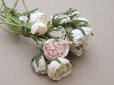 画像6: アンティーク 薔薇のブーケ パウダーピンク＆ホワイト　クウォーターロゼット咲き