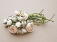 画像3: アンティーク 薔薇のブーケ パウダーピンク＆ホワイト　クウォーターロゼット咲き