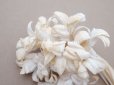 画像6: アンティーク ヒヤシンスの布花　オフホワイト