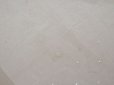 画像7: アンティーク 62cm幅　小花の刺繍入り チュールレース地 オフホワイト