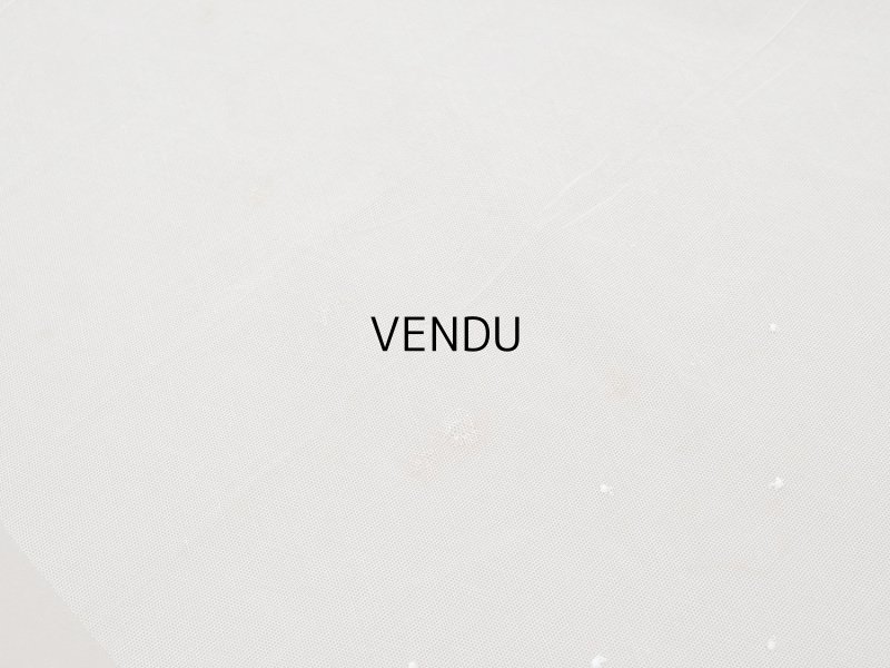 画像7: アンティーク 62cm幅　小花の刺繍入り チュールレース地 オフホワイト