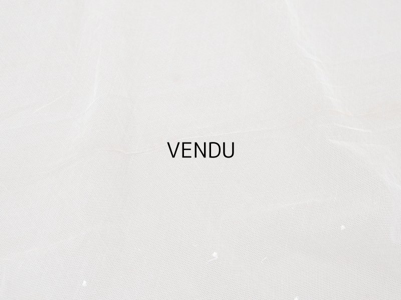 画像8: アンティーク 62cm幅　小花の刺繍入り チュールレース地 オフホワイト