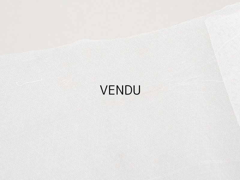 画像6: アンティーク 62cm幅　小花の刺繍入り チュールレース地 オフホワイト