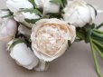 画像14: アンティーク 薔薇のブーケ パウダーピンク＆ホワイト　クウォーターロゼット咲き