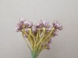 画像3: 19世紀末 アンティーク シルク製 小さなロココモチーフ　22点セット　薄紫 (3)