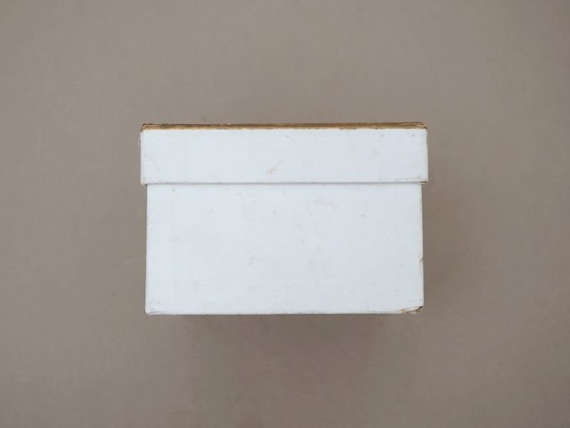 画像9: 1900年頃  アンティーク ジュエリーボックス - R.WEGELIN LYON -