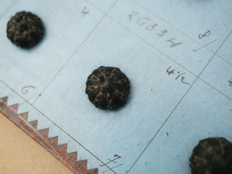 画像11: 19世紀 アンティーク小さなくるみボタンのサンプラー 80ピース