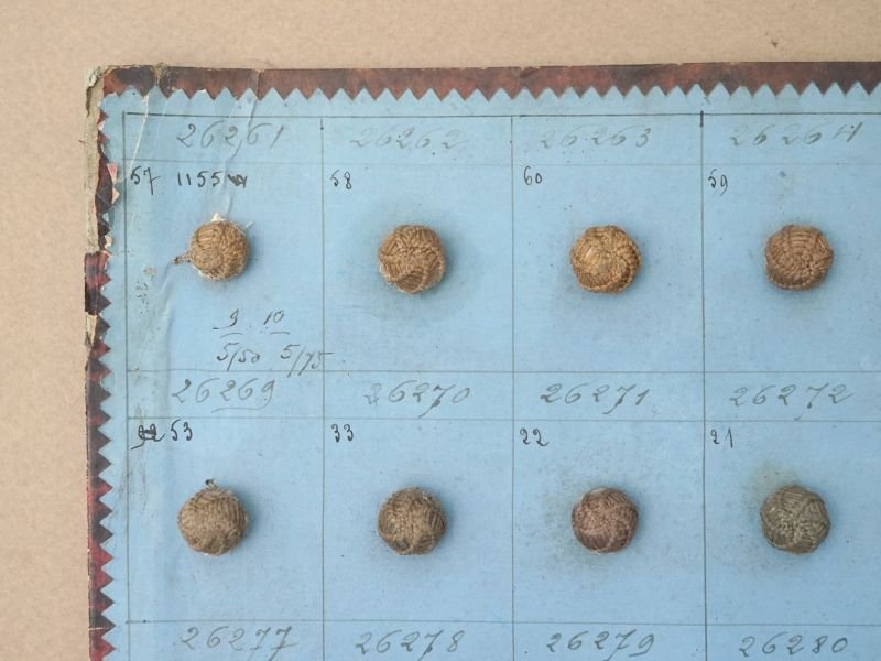 画像5: 19世紀 アンティーク小さなくるみボタンのサンプラー 80ピース