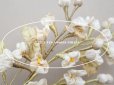 画像8: アンティーク シルク製 ロココモチーフ オフホワイトの花　