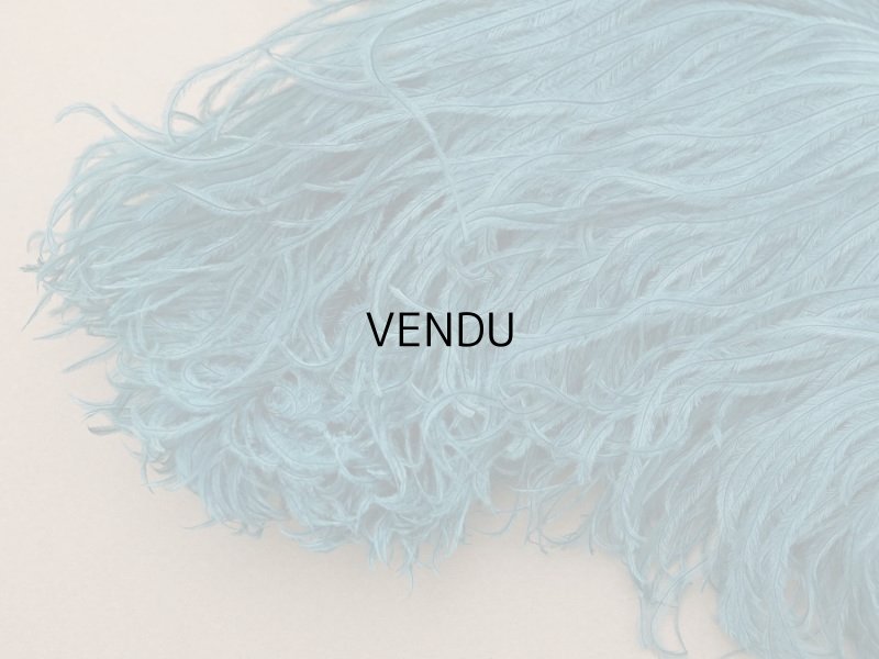 画像4: 1900年頃 アンティーク フェザー 羽飾り ブルーグリーン