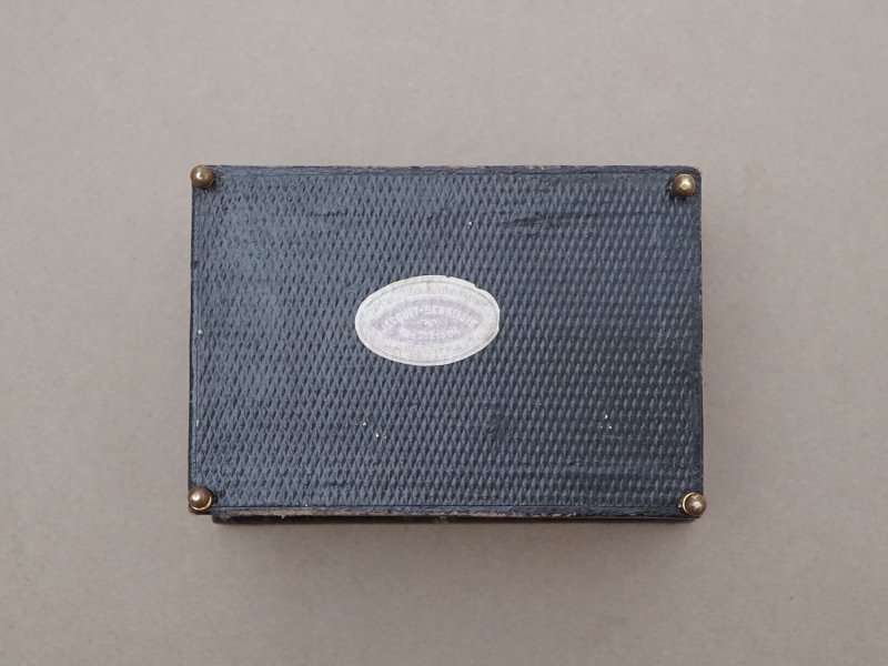 画像9: 19世紀 アンティーク ジュエリーケース ゴールドの脚付き グレイのシルククッション