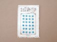 画像1: 1900年頃 アンティーク マザーオブパール製 極小 ボタン 5mm 24ピース シェルボタン ターコイズブルー (1)