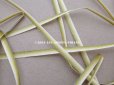 画像3: アンティーク リボン刺繍 & ロココトリム用 シルク製 リボン 5m 3mm幅 グリーン (3)