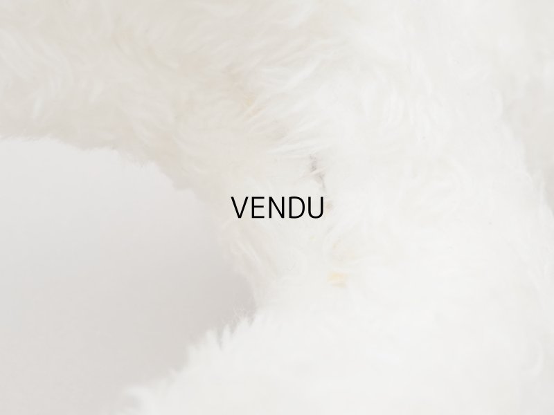 画像10: アンティーク 子羊のぬいぐるみ ブルーアイ