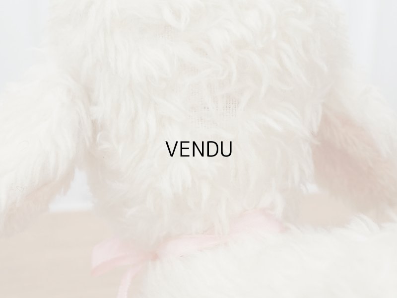 画像11: アンティーク 子羊のぬいぐるみ ブルーアイ