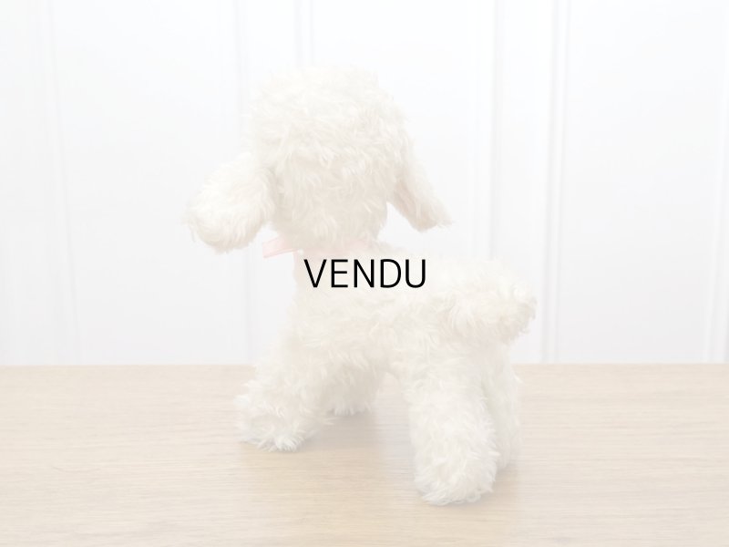 画像13: アンティーク 子羊のぬいぐるみ ブルーアイ