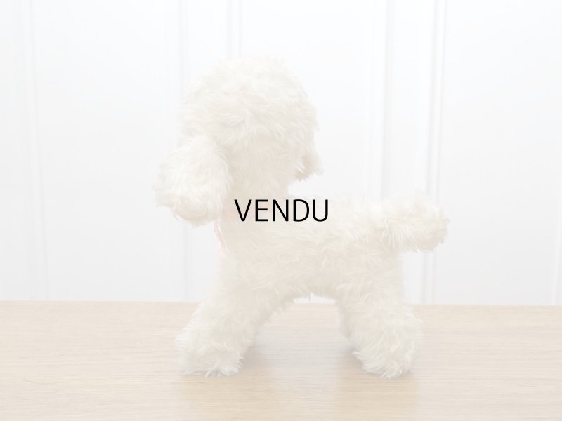 画像12: アンティーク 子羊のぬいぐるみ ブルーアイ