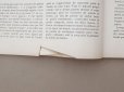画像9: 1900年発刊 アンティーク 刺繍とレースの本 BRODERIE & DENTELLE LECONS PRATIQUES PAR COUSINE CLAIRE - FRANCOIS TEDESCO, EDITEUR PARIS-