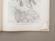 画像12: 1900年発刊 アンティーク 刺繍とレースの本 BRODERIE & DENTELLE LECONS PRATIQUES PAR COUSINE CLAIRE - FRANCOIS TEDESCO, EDITEUR PARIS-