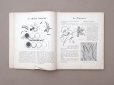 画像8: 1900年発刊 アンティーク 刺繍とレースの本 BRODERIE & DENTELLE LECONS PRATIQUES PAR COUSINE CLAIRE - FRANCOIS TEDESCO, EDITEUR PARIS-