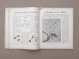 画像10: 1900年発刊 アンティーク 刺繍とレースの本 BRODERIE & DENTELLE LECONS PRATIQUES PAR COUSINE CLAIRE - FRANCOIS TEDESCO, EDITEUR PARIS-