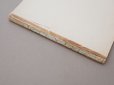 画像4: 1900年発刊 アンティーク 刺繍とレースの本 BRODERIE & DENTELLE LECONS PRATIQUES PAR COUSINE CLAIRE - FRANCOIS TEDESCO, EDITEUR PARIS-