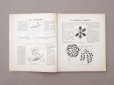 画像7: 1900年発刊 アンティーク 刺繍とレースの本 BRODERIE & DENTELLE LECONS PRATIQUES PAR COUSINE CLAIRE - FRANCOIS TEDESCO, EDITEUR PARIS-