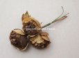 画像3: 未使用 ラベル付き アンティーク シルク製 薔薇の布花 カーキブラウン