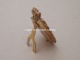 画像10: 19世紀末 アンティーク  ブロンズ製フレーム ミニアチュール (肖像画)入り 薔薇のガーランド