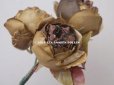 画像6: 未使用 ラベル付き アンティーク シルク製 薔薇の布花 カーキブラウン