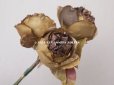 画像5: 未使用 ラベル付き アンティーク シルク製 薔薇の布花 カーキブラウン