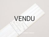 未使用 アンティーク ボンマルシェ カットワークレース 4.5m COMPTOIR DES BRODERIES - AU BON MARCHE -
