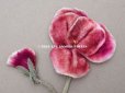 画像2: 1900年頃 アンティーク パンジーの布花 ピンク＆パープル (2)