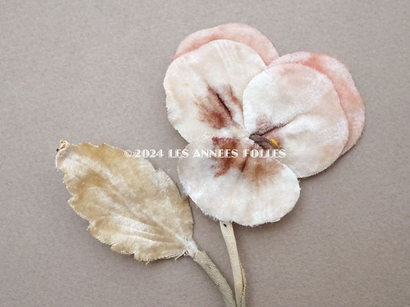 画像2: 1900年頃 アンティーク パンジーの布花 ホワイトベージュ＆ベビーピンク