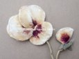 画像2: 1900年頃 アンティーク パンジーの布花 ホワイトベージュ＆深紫 (2)