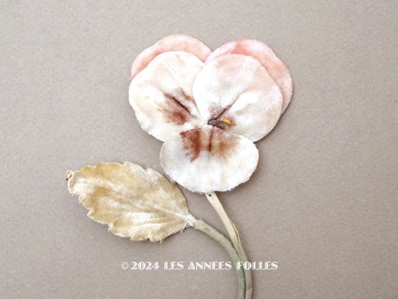 画像1: 1900年頃 アンティーク パンジーの布花 ホワイトベージュ＆ベビーピンク