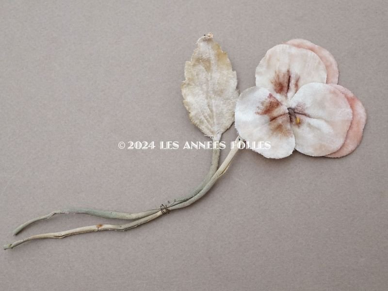 画像3: 1900年頃 アンティーク パンジーの布花 ホワイトベージュ＆ベビーピンク