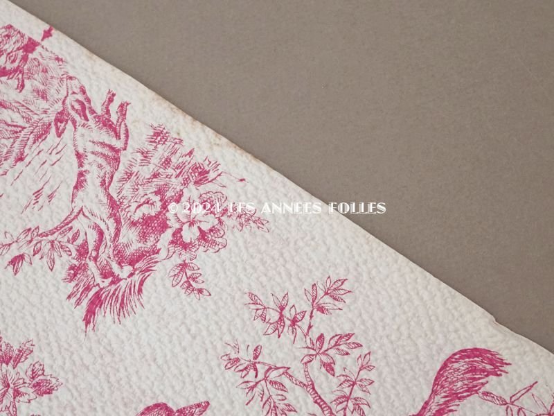 画像14: アンティーク 壁紙 トワルドジュイ 10m 幅57cm