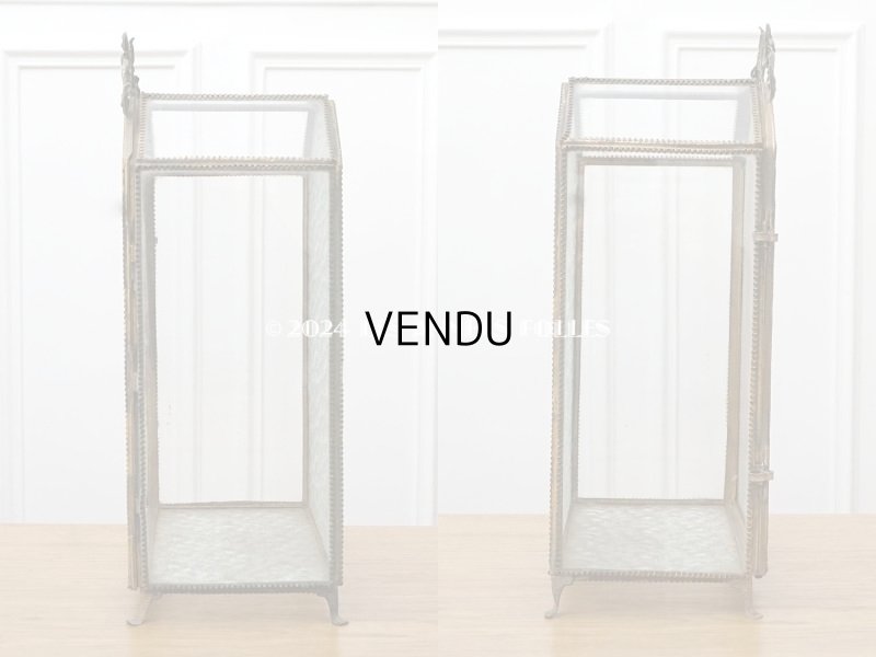 画像5: 19世紀末 アンティーク グローブ・ド・マリエのガラスケース プレザントワール