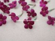 画像2: アンティーク 勿忘草の布花  赤紫 19ピースのセット 約15mm (2)