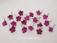 画像1: アンティーク 勿忘草の布花  赤紫 19ピースのセット 約15mm (1)
