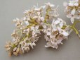 画像3: アンティーク ライラックの布花 パウダーピンク
